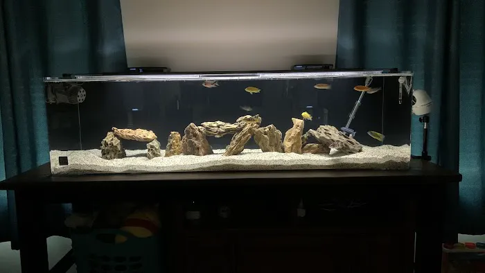 Fish Tanks Direct Picture 7