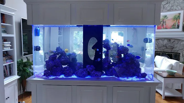 Fish Tanks Direct Picture 8