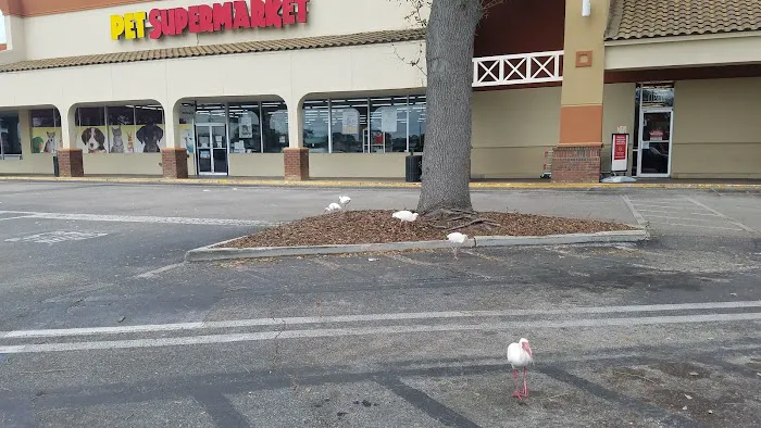 Pet Supermarket Picture 3