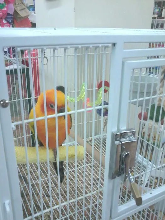 Pet Supermarket Picture 2