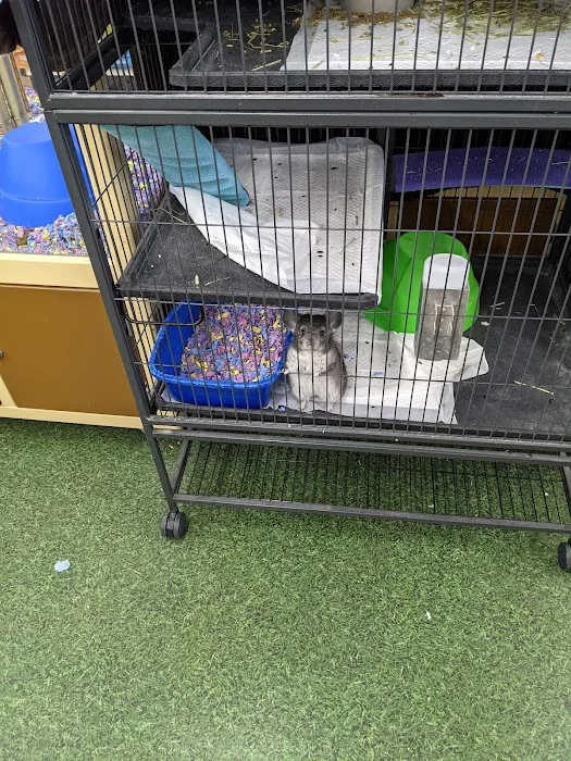 Pet Supermarket Picture 6