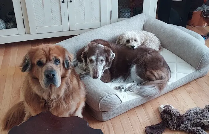 Point Pleasant Veterinary Hospital Picture 2