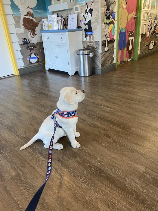 Point Pleasant Veterinary Hospital Picture 3