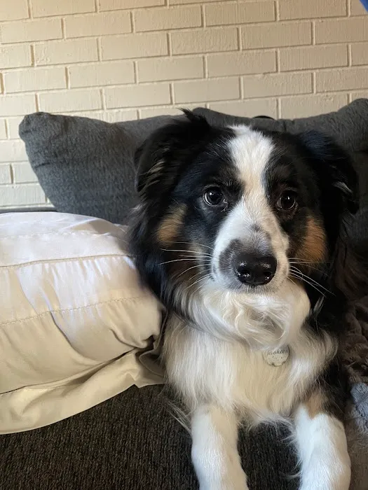 Point Pleasant Veterinary Hospital Picture 1