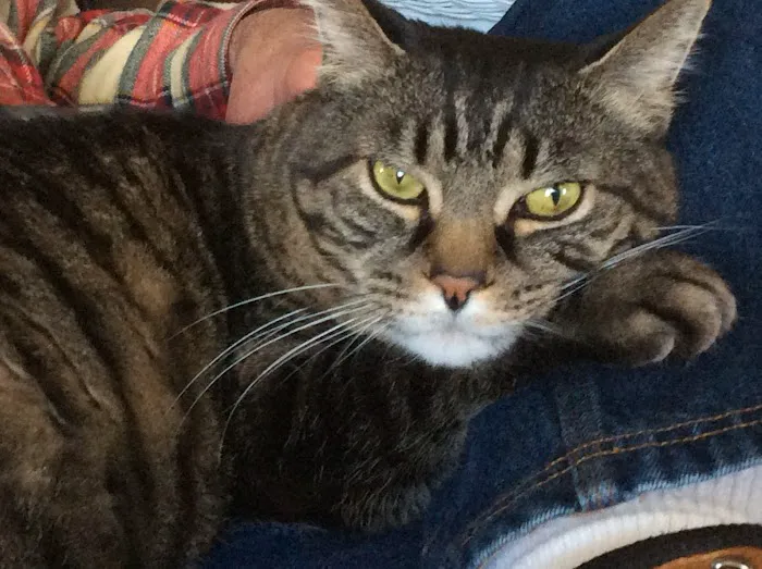 Point Pleasant Veterinary Hospital Picture 6