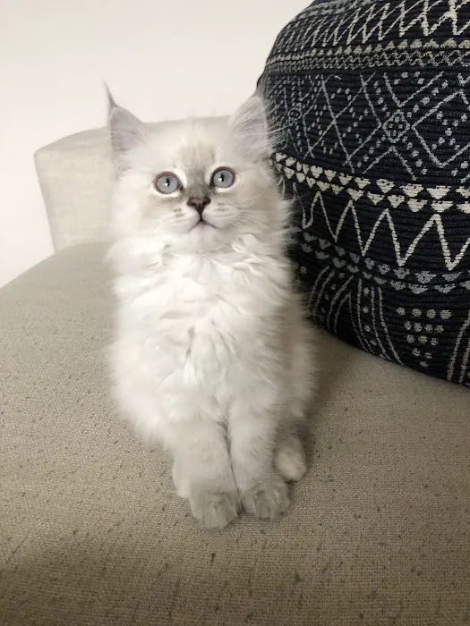 Point Pleasant Veterinary Hospital Picture 4