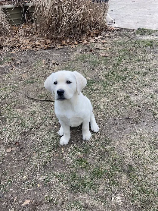 Point Pleasant Veterinary Hospital Picture 9