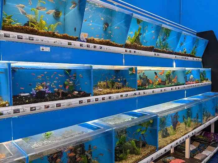 Pet Supermarket Picture 2