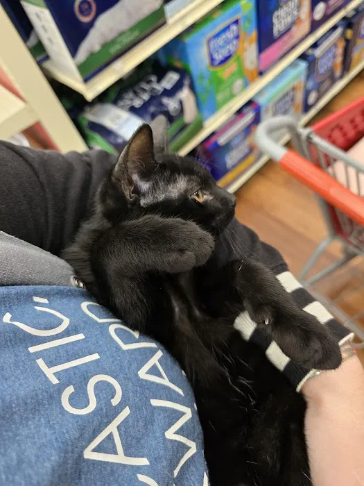 Pet Supermarket Picture 9