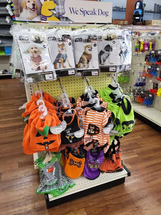 Pet Supermarket Picture 8