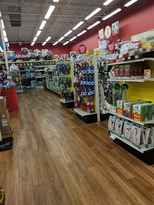 Pet Supermarket Picture 10