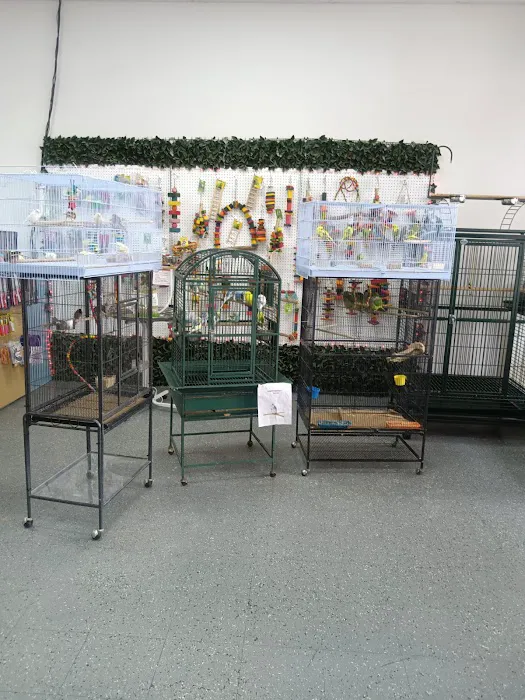 Mia’s Blessing Pet Shop Picture 1