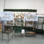 Mia’s Blessing Pet Shop