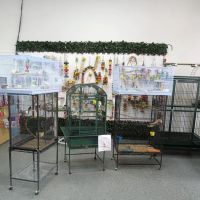 Mia’s Blessing Pet Shop ico