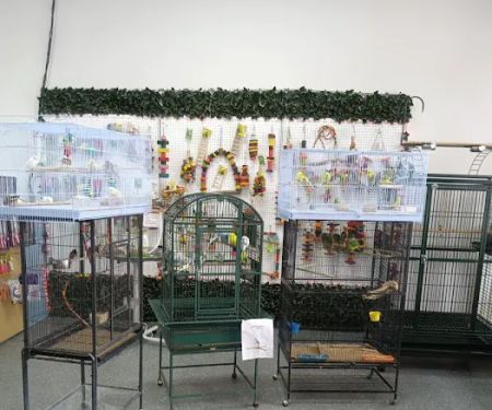 Mia’s Blessing Pet Shop