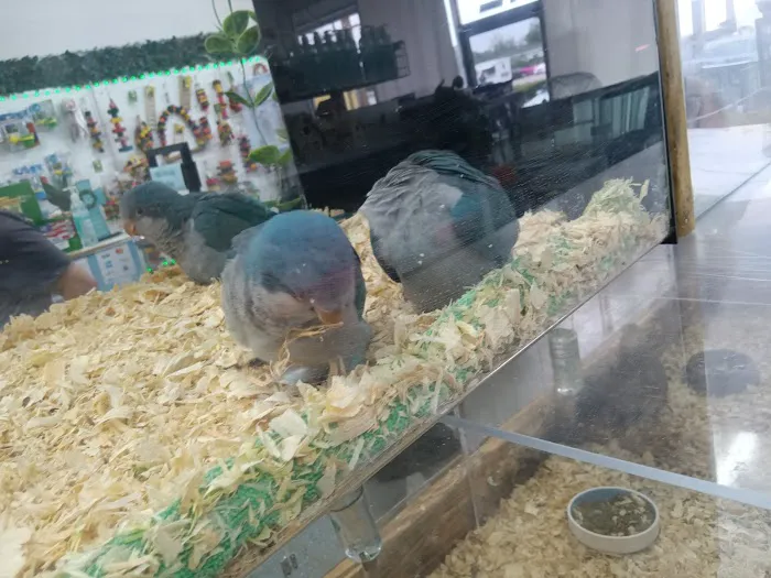 Mia’s Blessing Pet Shop Picture 3