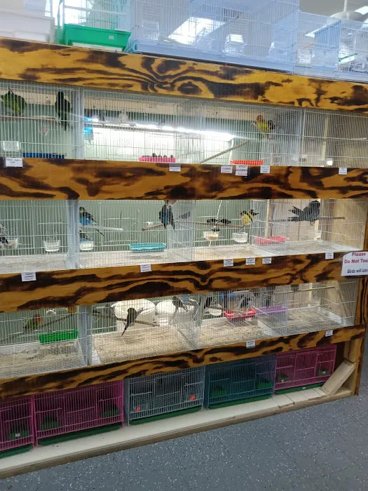 Mia’s Blessing Pet Shop Picture 9