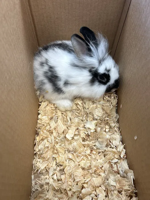 Mia’s Blessing Pet Shop Picture 8
