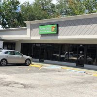Earth Pets Natural Pet Market - San Marco ico