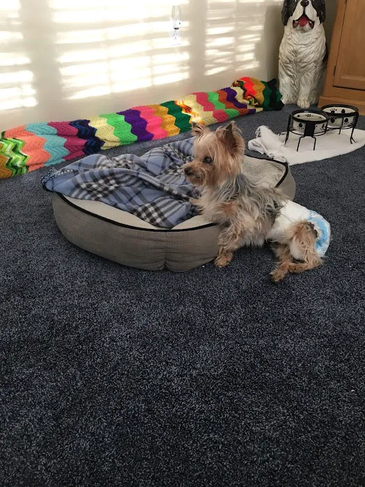 VCA Ocean County Animal Hospital Picture 1