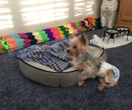 VCA Ocean County Animal Hospital