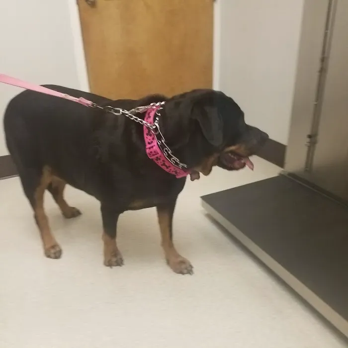 VCA Ocean County Animal Hospital Picture 8