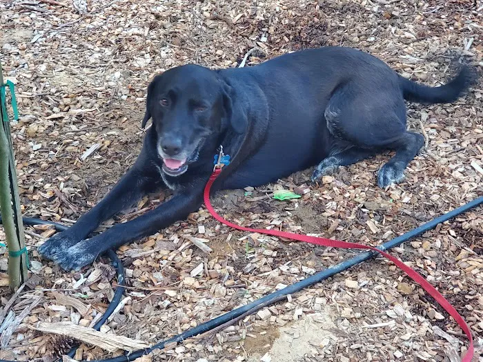 VCA Ocean County Animal Hospital Picture 9