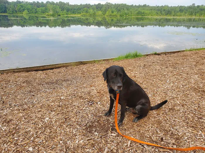 VCA Ocean County Animal Hospital Picture 10