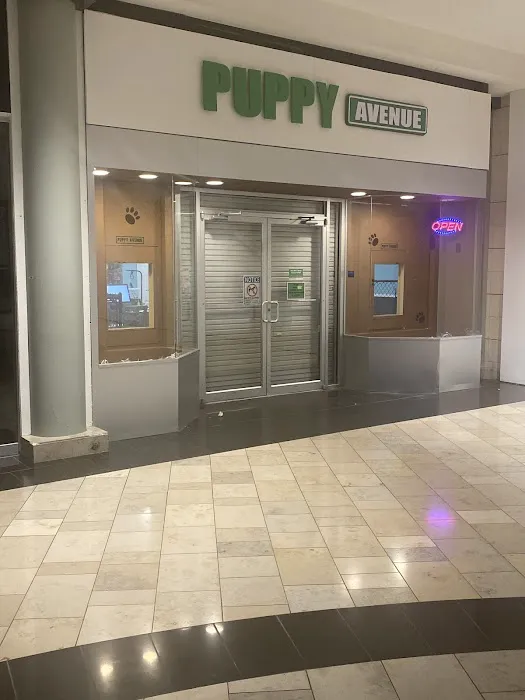 Puppy Avenue Picture 1