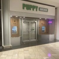 Puppy Avenue ico