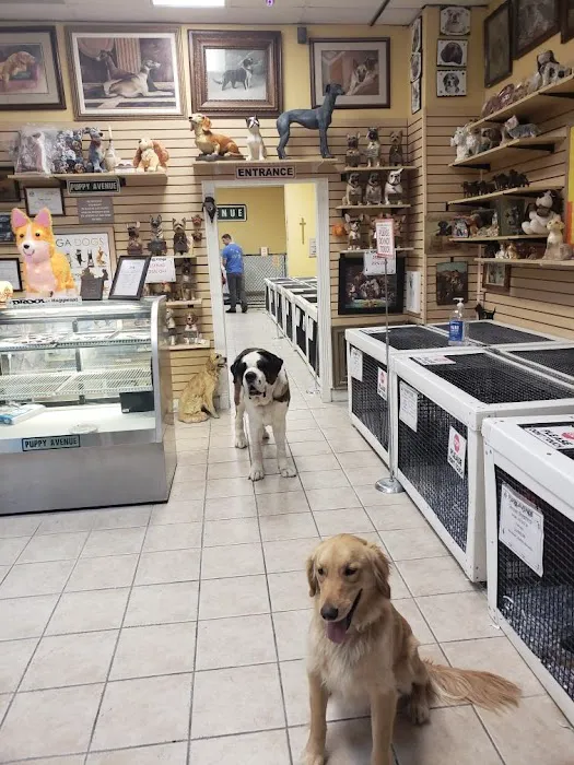 Puppy Avenue Picture 2