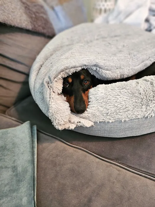 ANIMAL HOSPITAL OF NORTH DOVER Picture 2