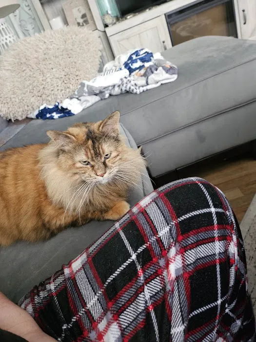 ANIMAL HOSPITAL OF NORTH DOVER Picture 4