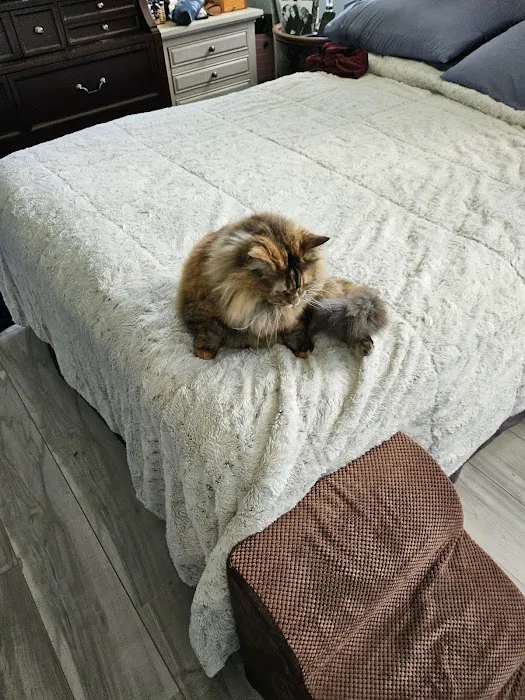 ANIMAL HOSPITAL OF NORTH DOVER Picture 8