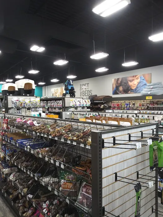 Pet Supermarket Picture 3