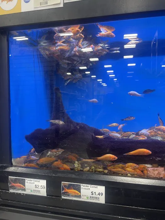 Pet Supermarket Picture 7