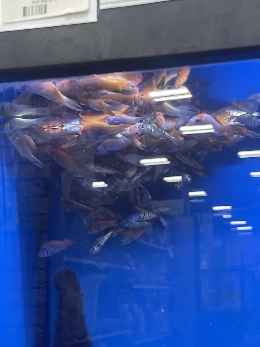 Pet Supermarket Picture 9