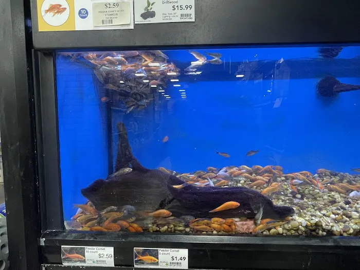 Pet Supermarket Picture 10