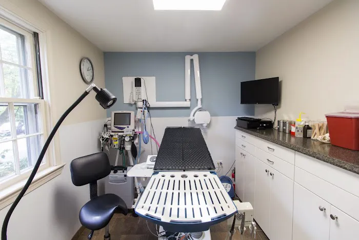 HousePaws Mobile Veterinary Service of Morrisville Picture 1