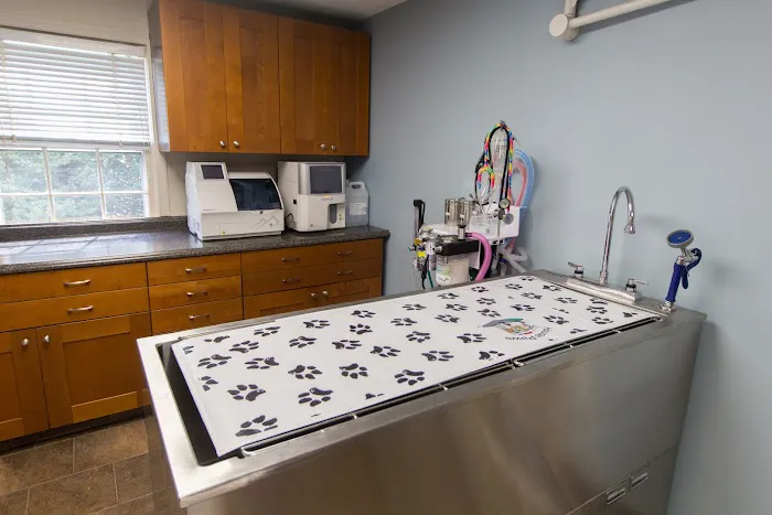 HousePaws Mobile Veterinary Service of Morrisville Picture 5