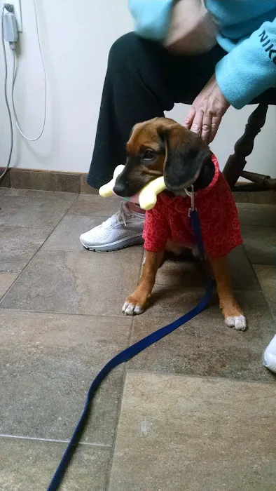 HousePaws Mobile Veterinary Service of Morrisville Picture 8