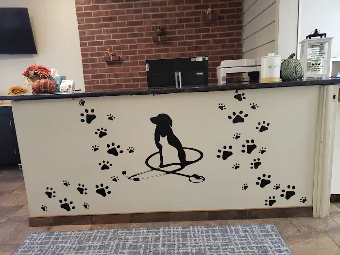 HousePaws Mobile Veterinary Service of Morrisville Picture 7