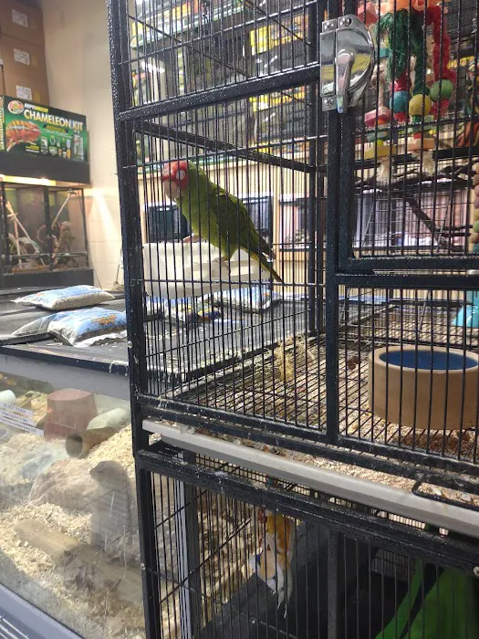 Xtreme Exotics Picture 2