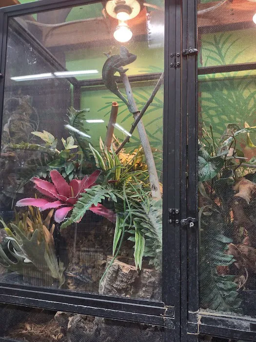 Xtreme Exotics Picture 5