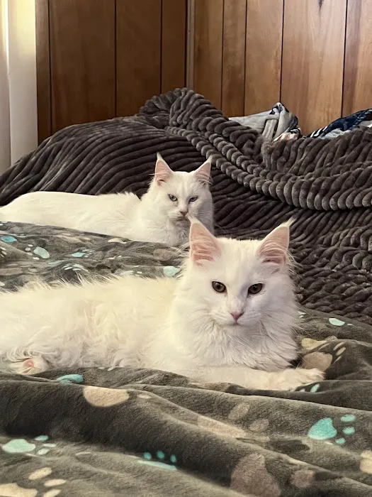 Xtreme Exotics Picture 7