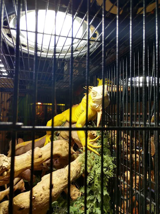 Xtreme Exotics Picture 6