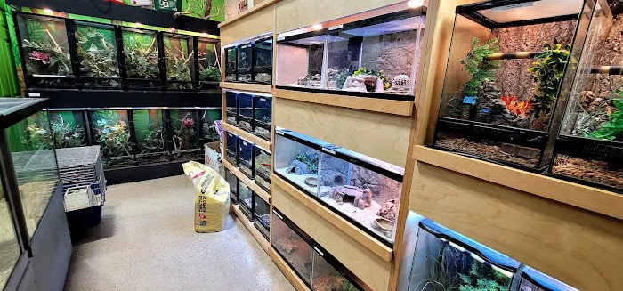 Xtreme Exotics Picture 9