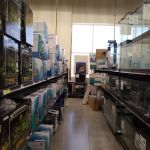 Petco