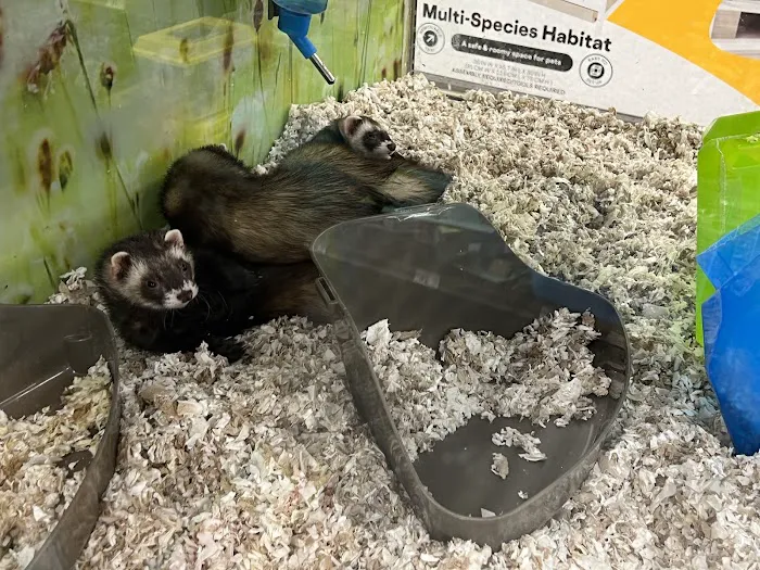 Petco Picture 10