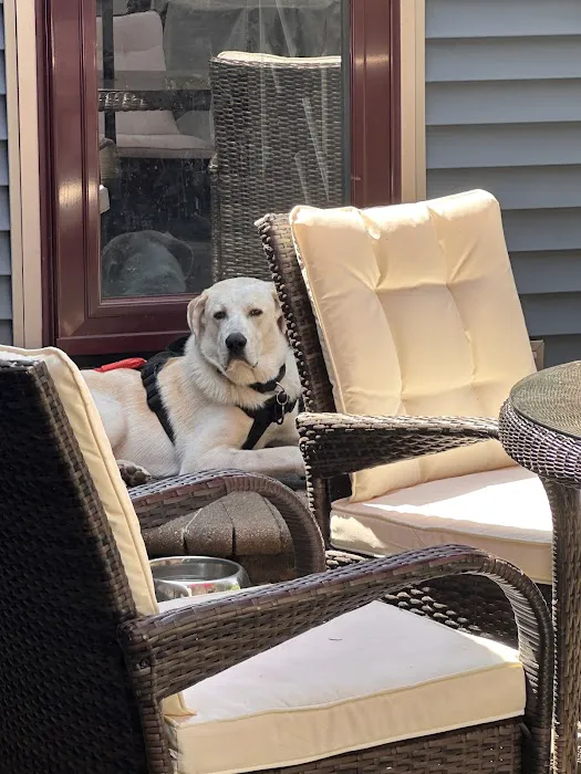 Morrisville Veterinary Hospital Picture 4